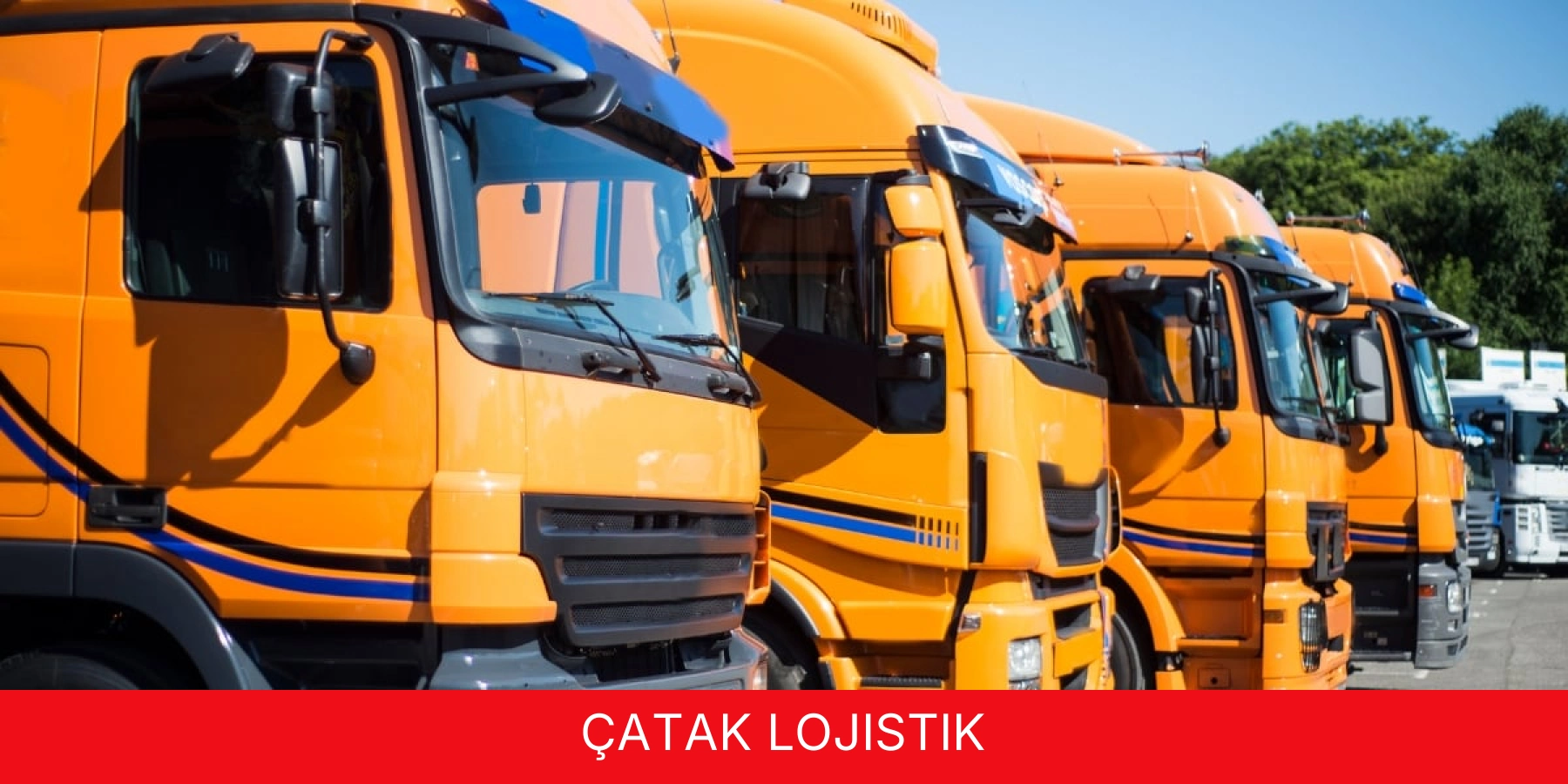 Çatak Lojistik